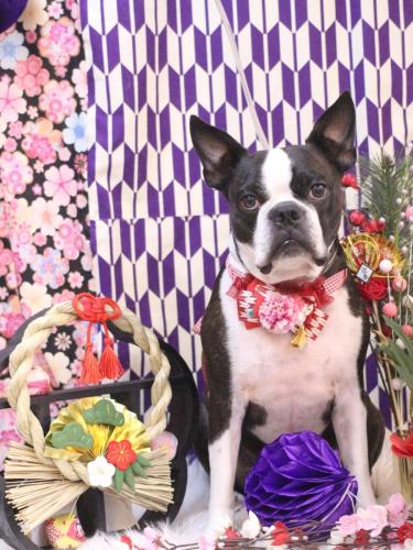 20250125ＡＤくん